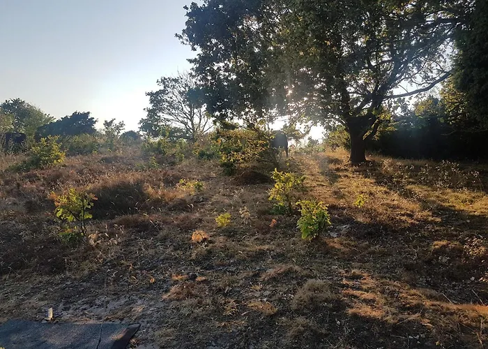 4 Person In Glesborg-by Traum Casa vacanze